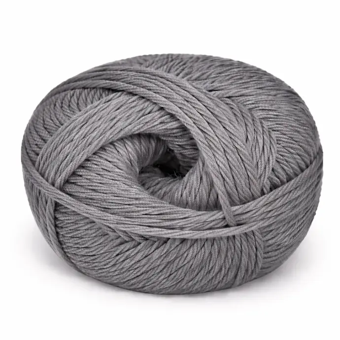  CHARLOTTE  -  ANT SILVER