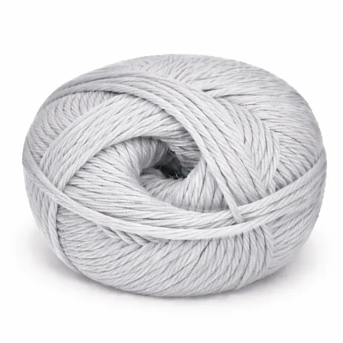  CHARLOTTE  -  BRT SILVER