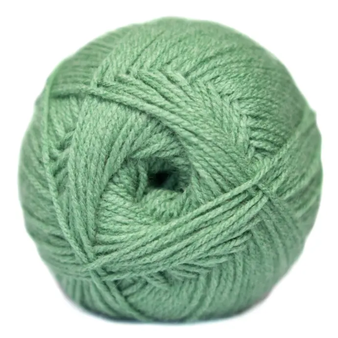 CLASSIC ELLE PULLSKEIN DK 100g BLS FERN