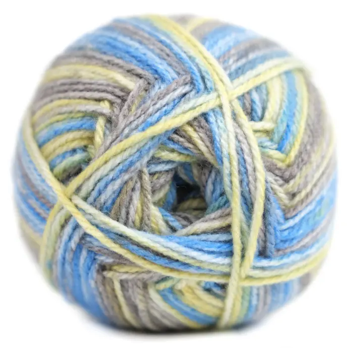  CHARITY P/SKEIN PRINT 5X100G YELLOWTAIL SNAPPER