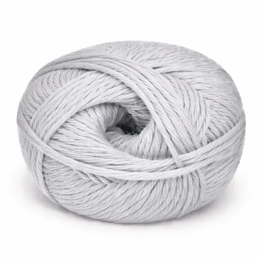 [CHARLOTTE  -  BRT SILVER]  CHARLOTTE  -  BRT SILVER