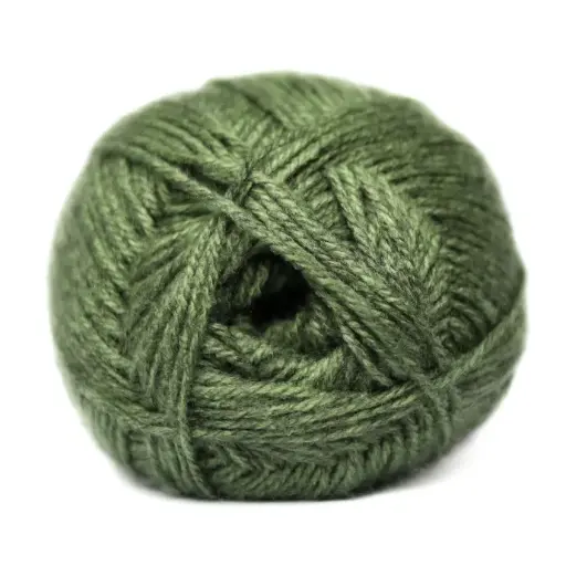 CLASSIC WOOL CHNKY 100g BLS ALOE