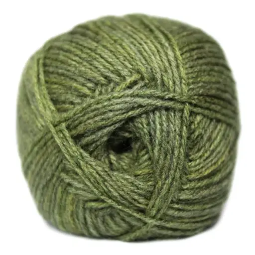 CLASSIC WOOL CHNKY PRINT 100g BLS PICKLE