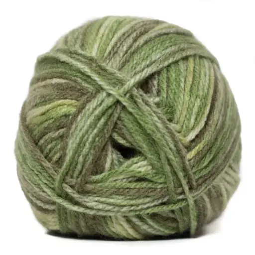 [9003223]  CHARITY P/SKEIN PRINT 5X100G SEDGE GREEN