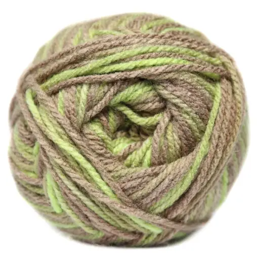 [9003320]  CHARITY P/SKEIN PRINT 100g NUTSHELL