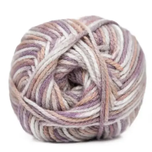 [9007548]  CHARITY CHNKY PRNT 5X100 g BLS RUM AND RAISIN