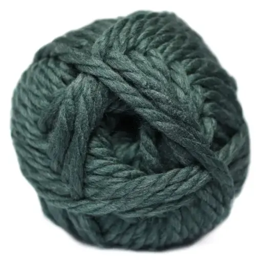 CHARITY MEGA CHUNKY SOLID 300g BLS CILANTRO